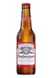 BUDWEISER BOTTLE 330ml / 500ml / 660ml